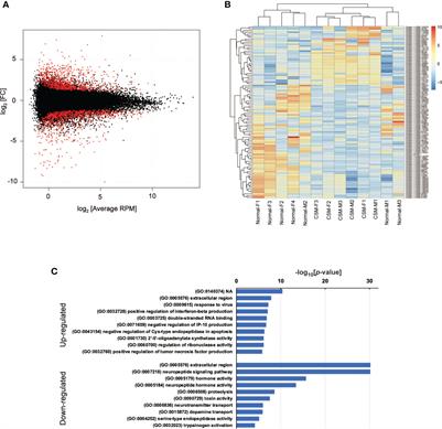 Concomitant downregulation of neuropeptide genes in a marine snail with consecutive sexual maturation after a nuclear disaster in Japan